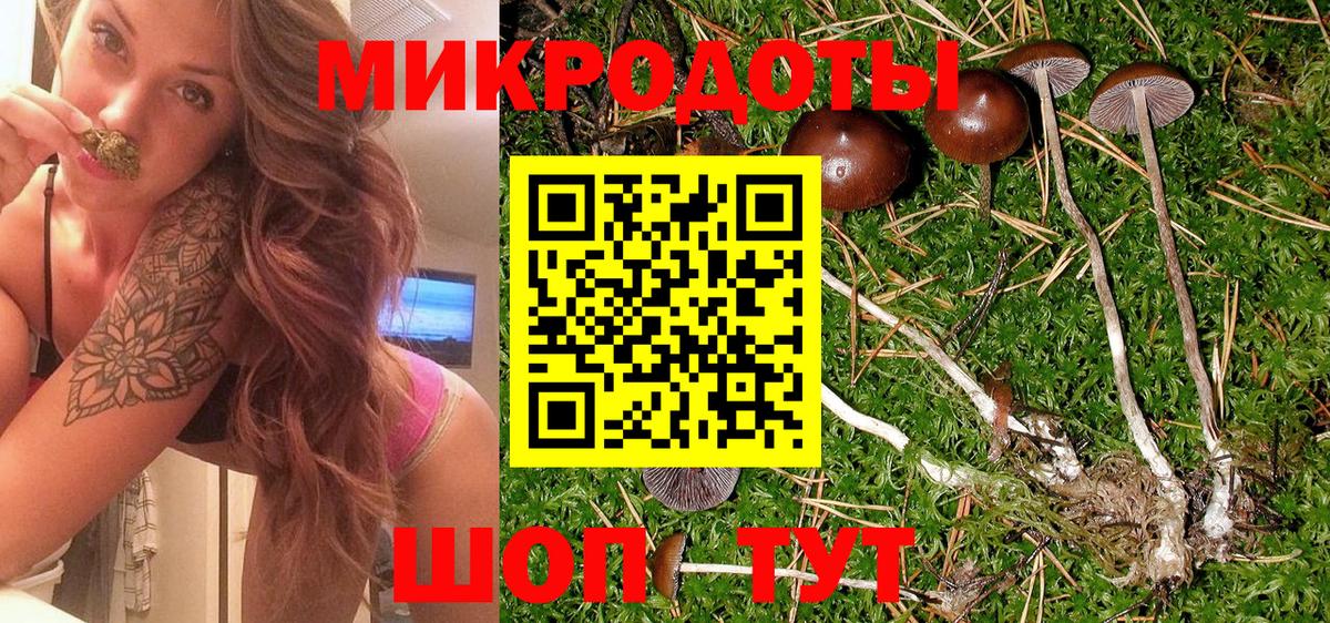 Галлюциногенные грибы Psilocybe  Вход с VPN  Лесозаводск  Псилоцибиновые грибы MAGIC MUSHROOMS 