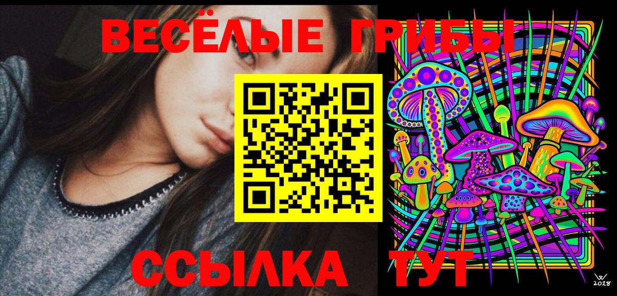 Галлюциногенные грибы GOLDEN TEACHER Лесозаводск